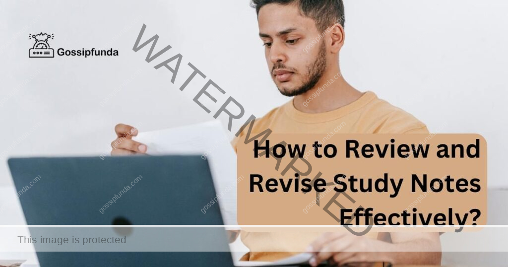 How to Review and Revise Study Notes Effectively