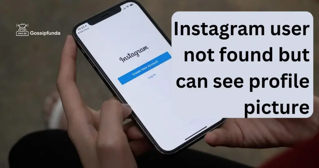 Instagram user not found but can see profile picture