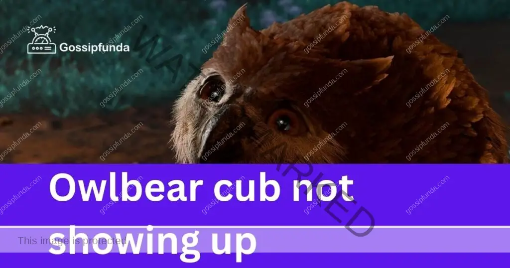 Owlbear cub not showing up