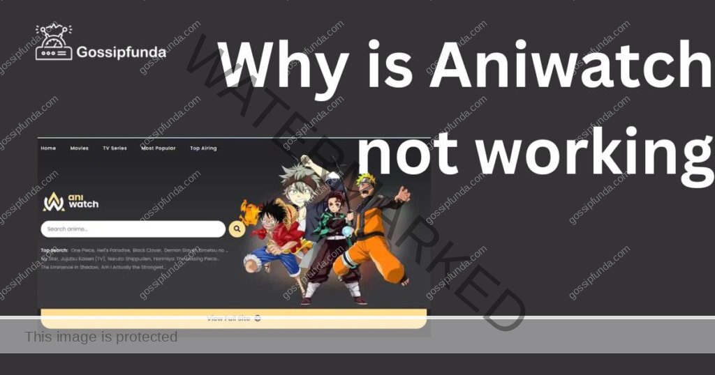 Why is Aniwatch not working