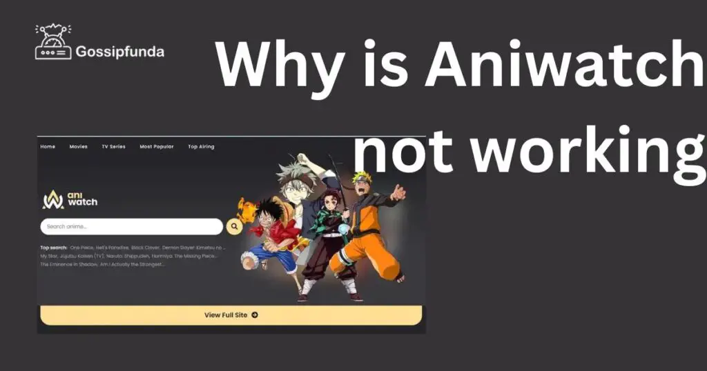 Why is Aniwatch not working