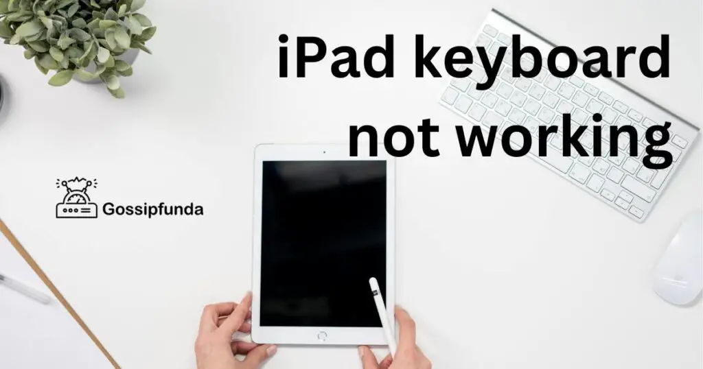 iPad keyboard not working