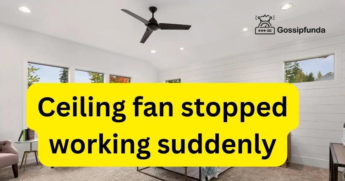 Ceiling fan stopped working suddenly Gossipfunda