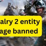 Chivalry 2 entity lineage banned