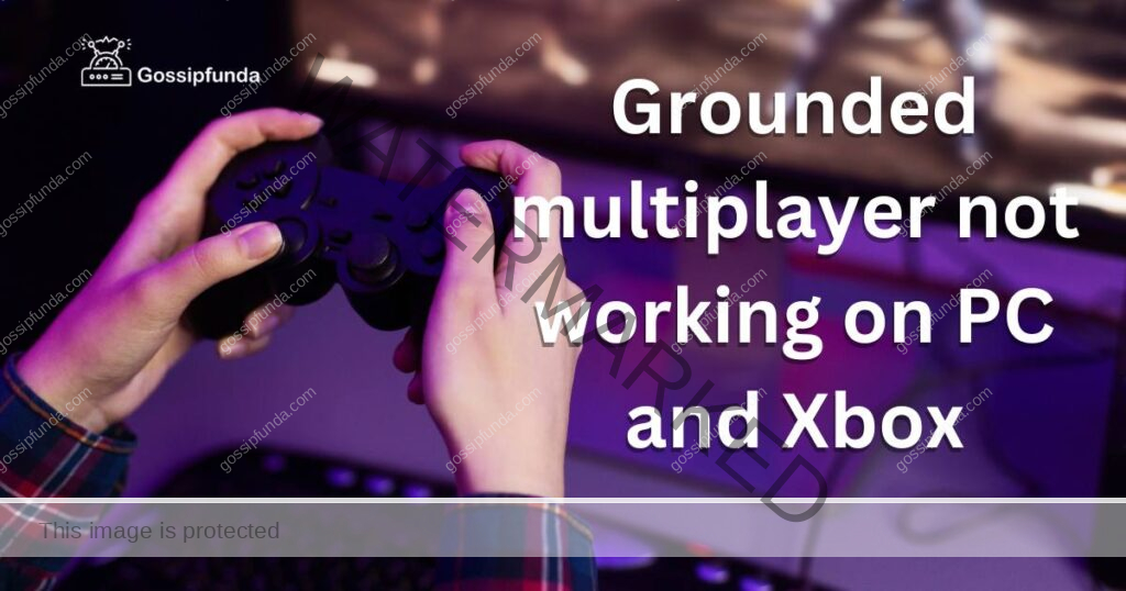 Grounded multiplayer not working on PC and Xbox