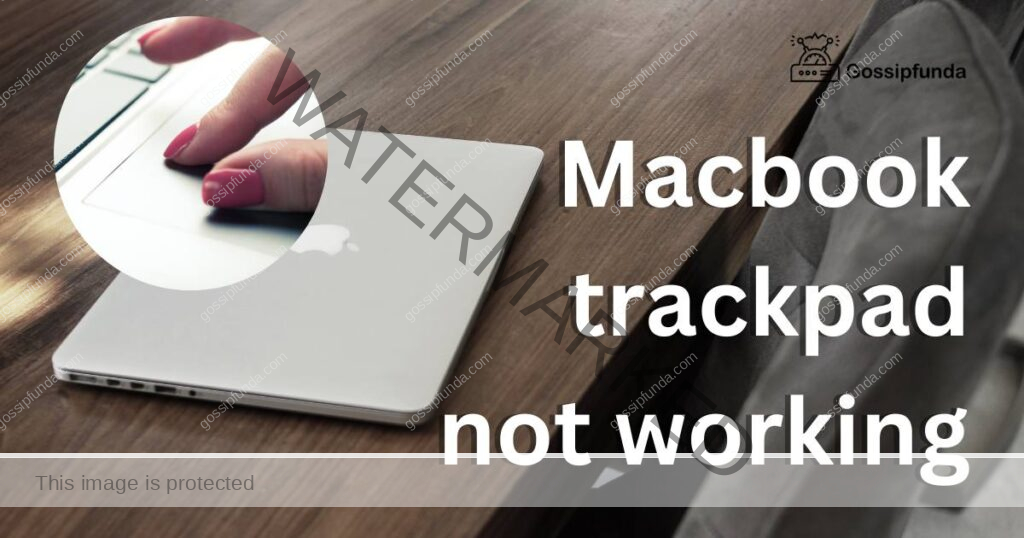Macbook trackpad not working
