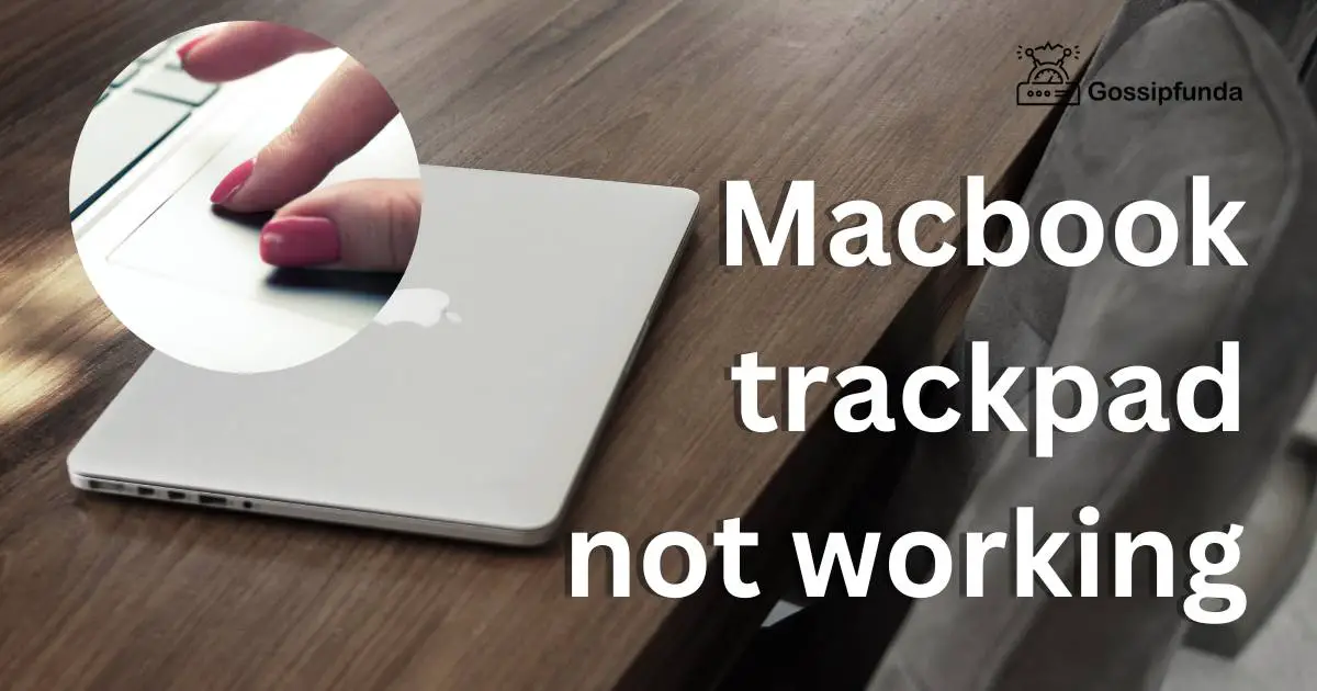 MacBook trackpad not working Gossipfunda