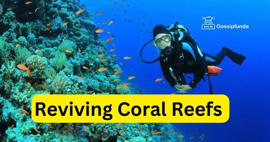 Reviving Coral Reefs