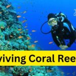 Reviving Coral Reefs