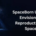 SpaceBorn United