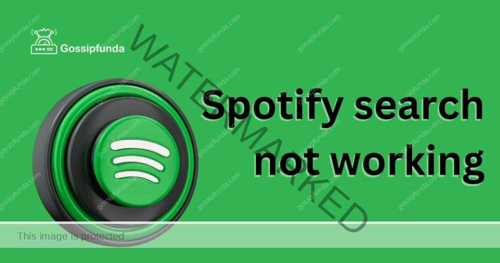 Spotify search not working