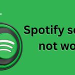 Spotify search not working