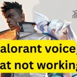 Valorant voice chat not working