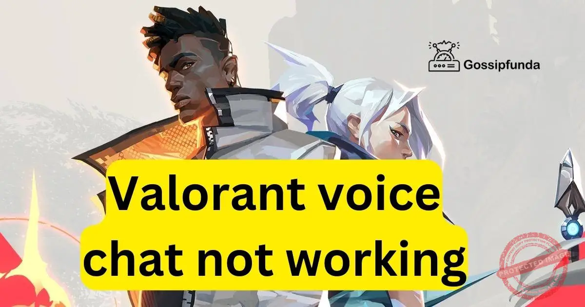 Valorant voice chat not working Gossipfunda