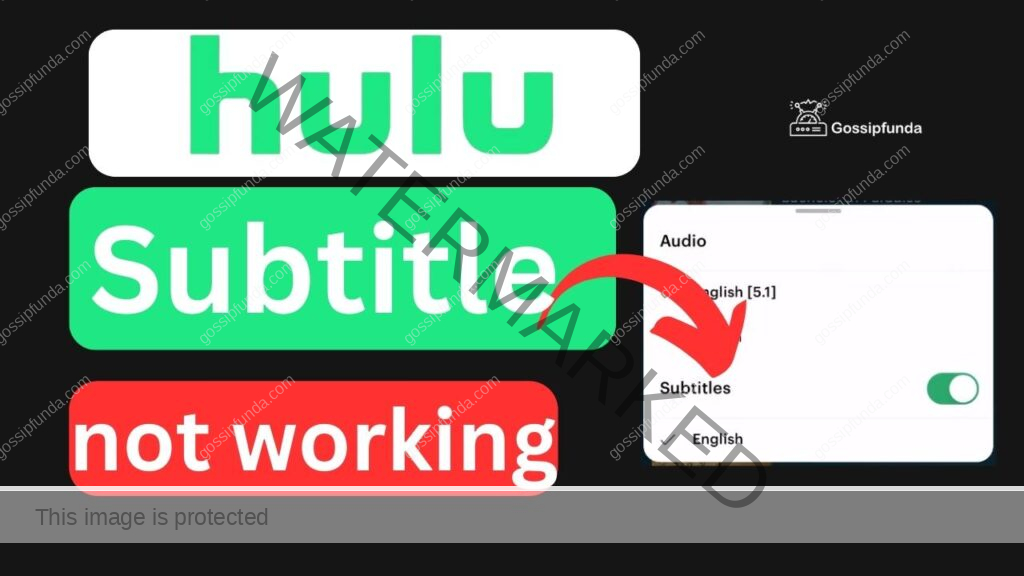 Hulu subtitles not working