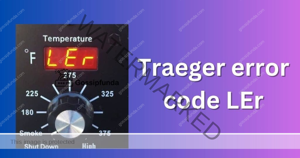 Traeger error code ler