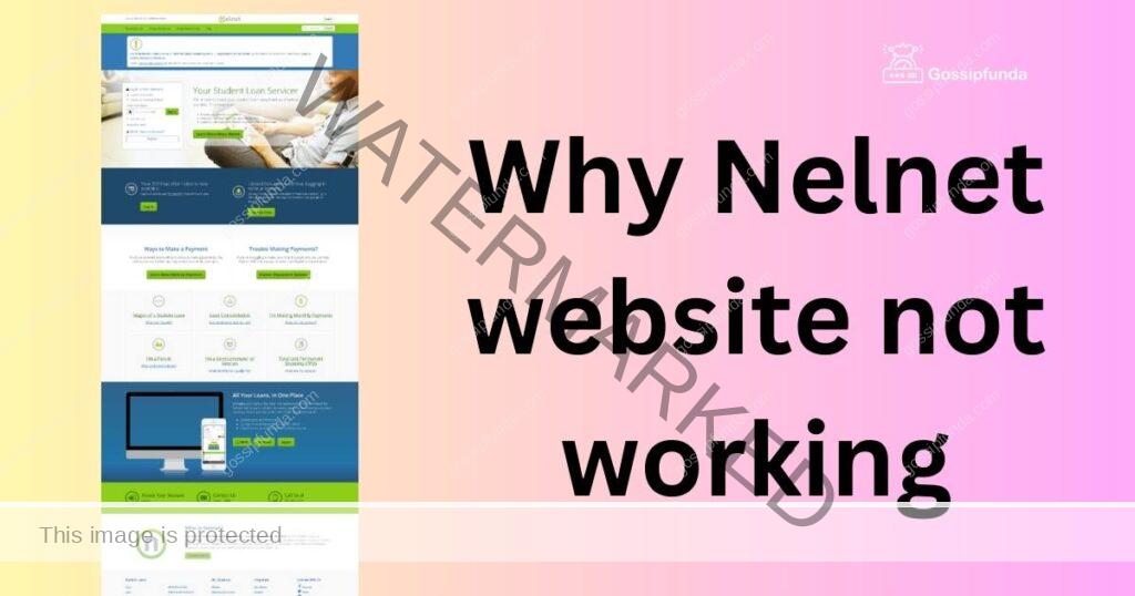 Why Nelnet website not working