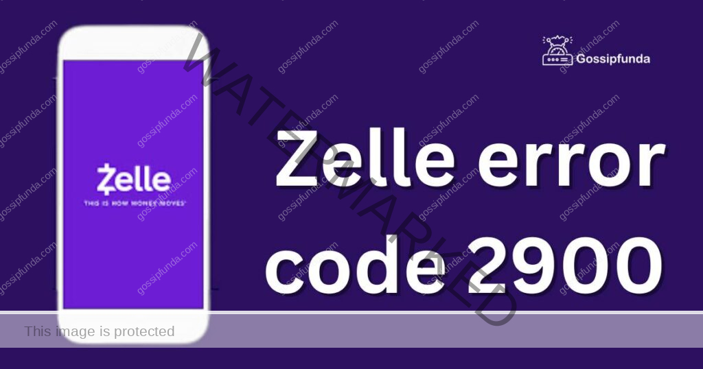 Zelle error code 2900