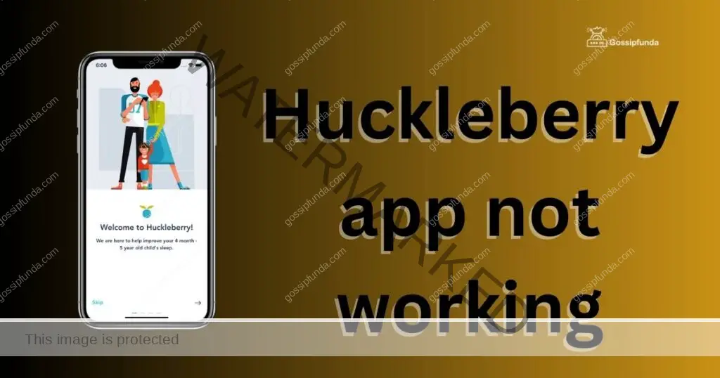 Huckleberry app not working