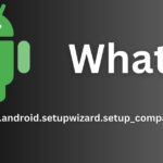 com.google.android.setupwizard.setup_compat_service