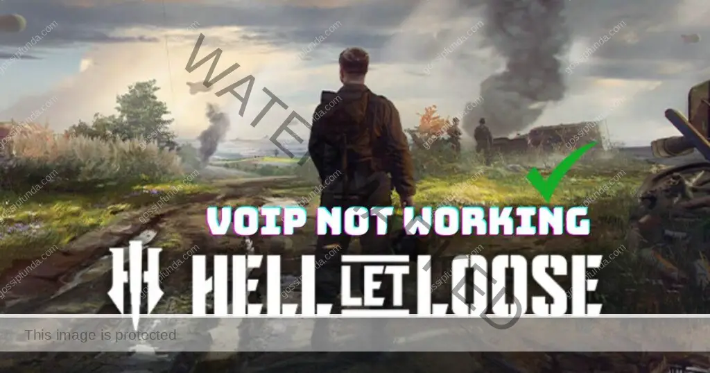 Hell let loose VoIP not working 