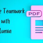 Enhance Teamwork with Lumin